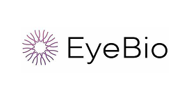 Logo29